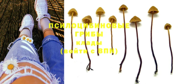 MDMA Богородицк