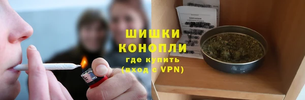 соль ск Богданович