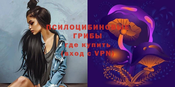 MDMA Богородицк