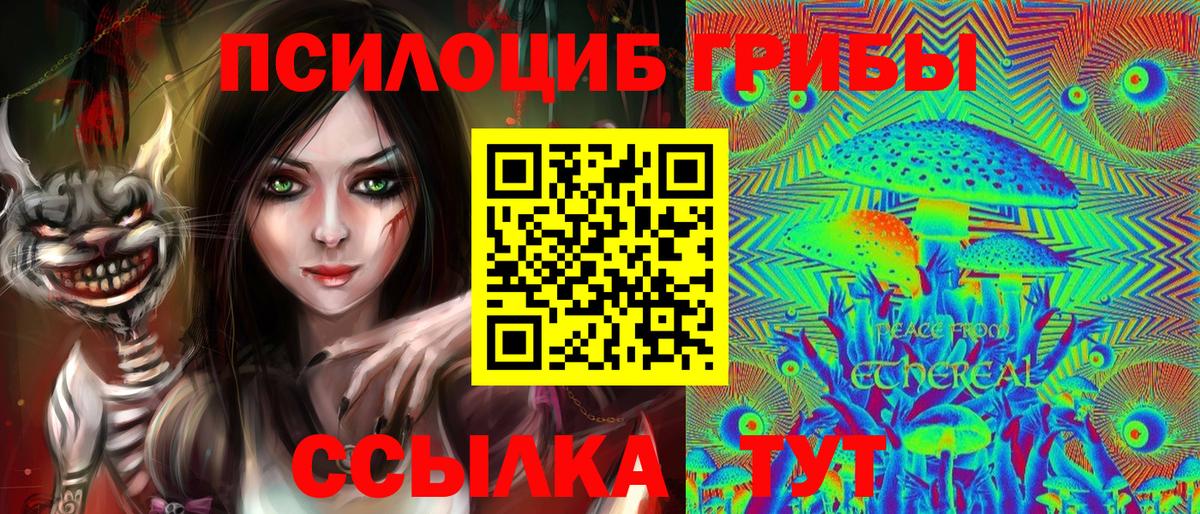 Пятигорск  Галлюциногенные грибы Cubensis  Вход с VPN 
