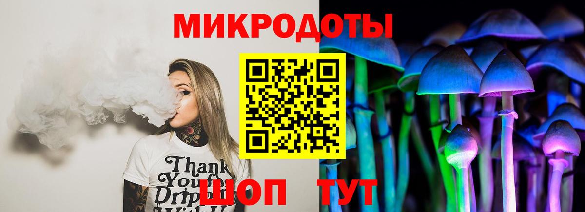 Псилоцибиновые грибы Psilocybine cubensis Пятигорск